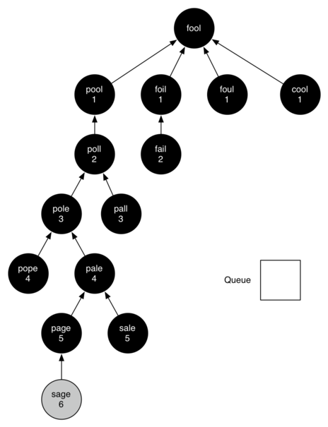Final breadth first search tree
